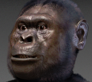 Image result for Australopithecus garhi